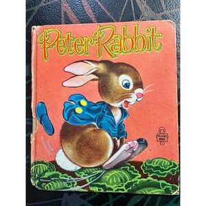 Peter Rabbit Childrens Book